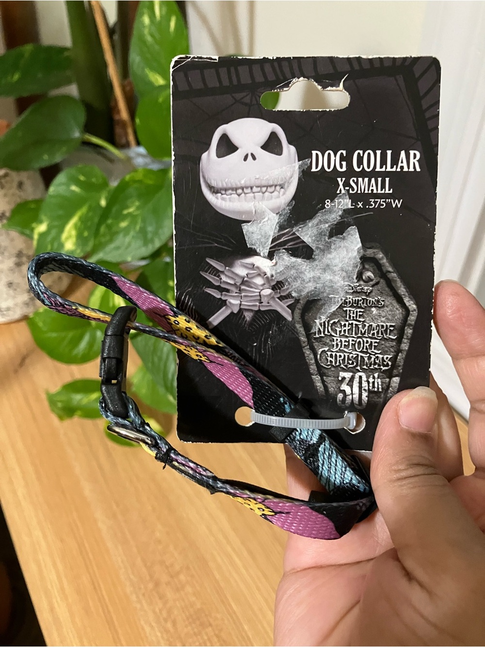 Halloween The Nightmare Before Christmas Dog Collar - NWT, XS also fits cats